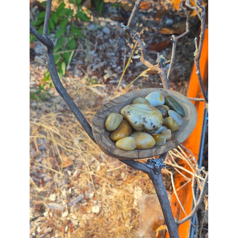 Handcrafted Rustic Olive Wood Oval Bowl w/ PNW Carnelian Agates & Yellow Jasper